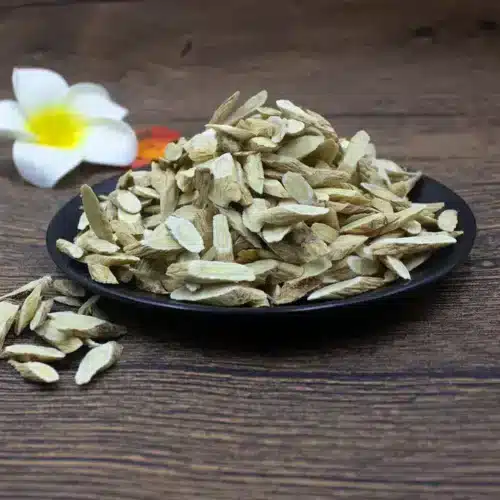 Astragalus root single slice close-up