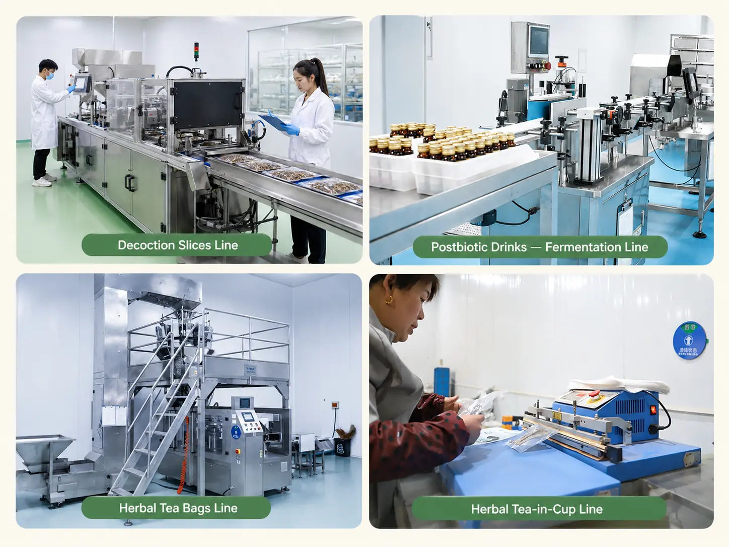 Aile Herb's postbiotic drinks, herbal tea bags, and tea-in-cup production lines under one roof