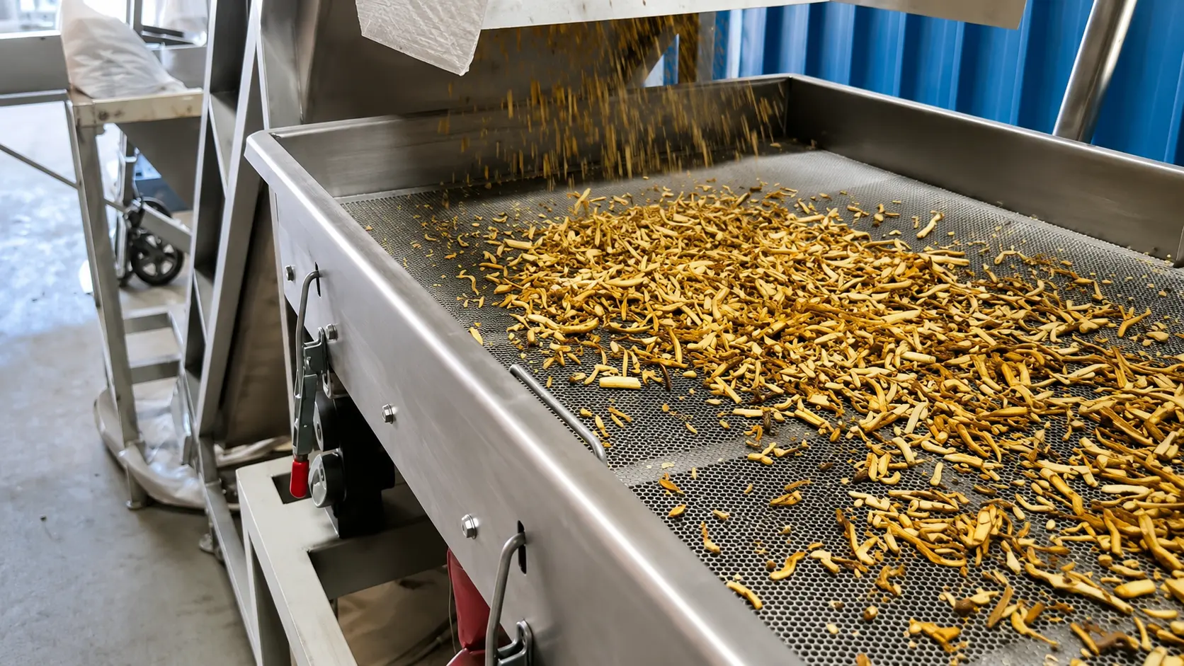 Cut herb pieces on a vibrating sieve conveyor during Chinese herb processing