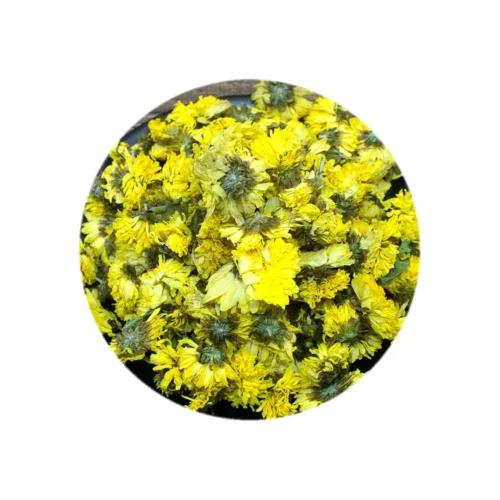 Close-up detail of chrysanthemum flower