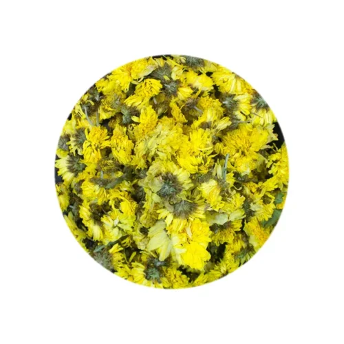 Chrysanthemum flower showing its natural form