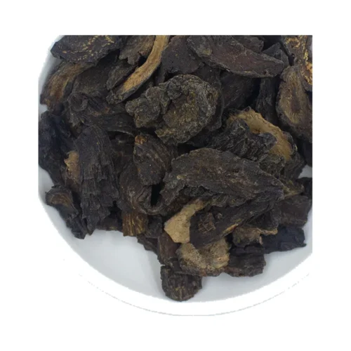 Cistanche stem slices showing its natural form