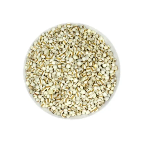 Coix seed showing its natural form