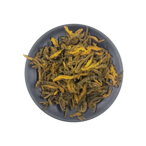 Overview of coptis rhizome