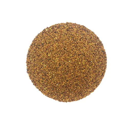 Main product image of cuscuta seed