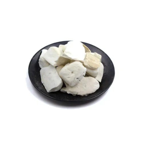Overview of cuttlefish bone