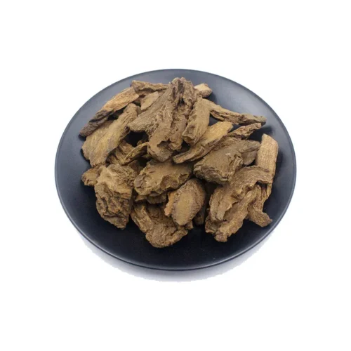 Overview of cynomorium stem slices