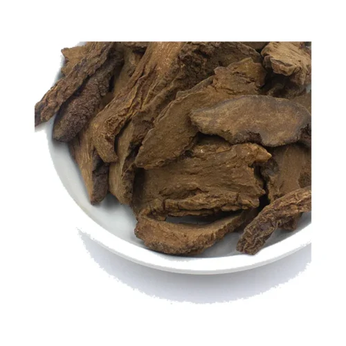 Cynomorium stem slices showing its natural form