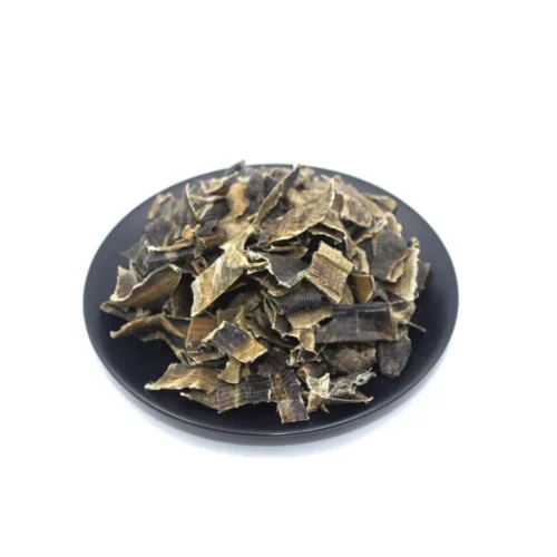 Main product image of earthworm