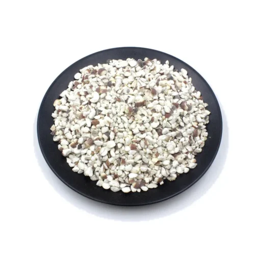 Overview of euryale seed