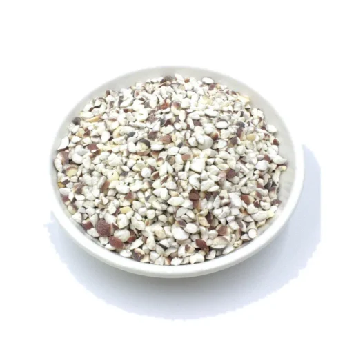 Euryale seed showing its natural form