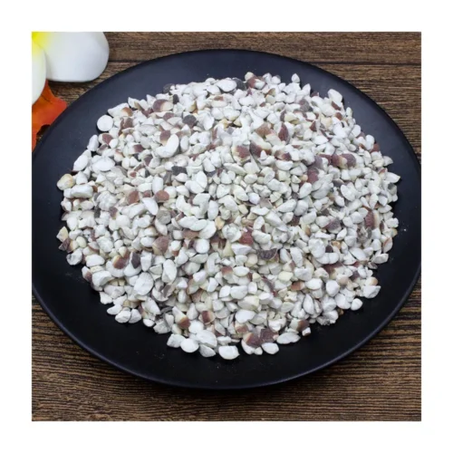 Clear view of euryale seed