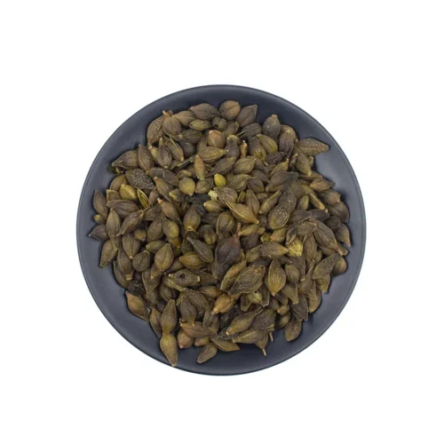 Main product image of forsythia fruit