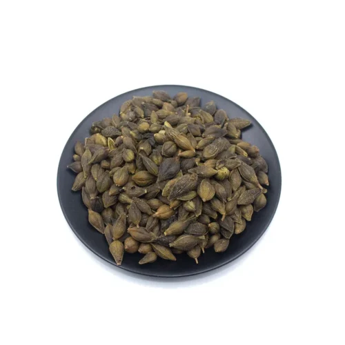 Overview of forsythia fruit