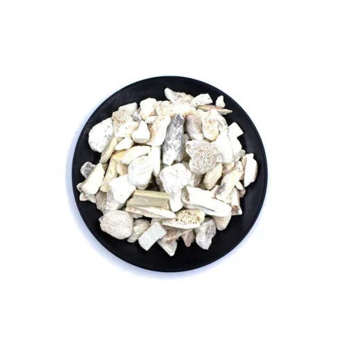Main product image of fossilized bone