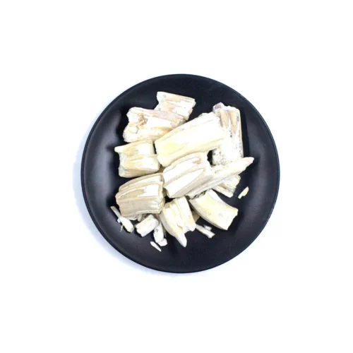Main product image of fossilized tooth