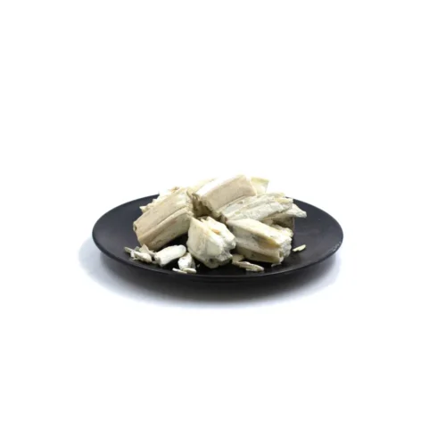 Overview of fossilized tooth