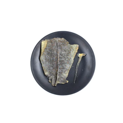 Main product image of gecko