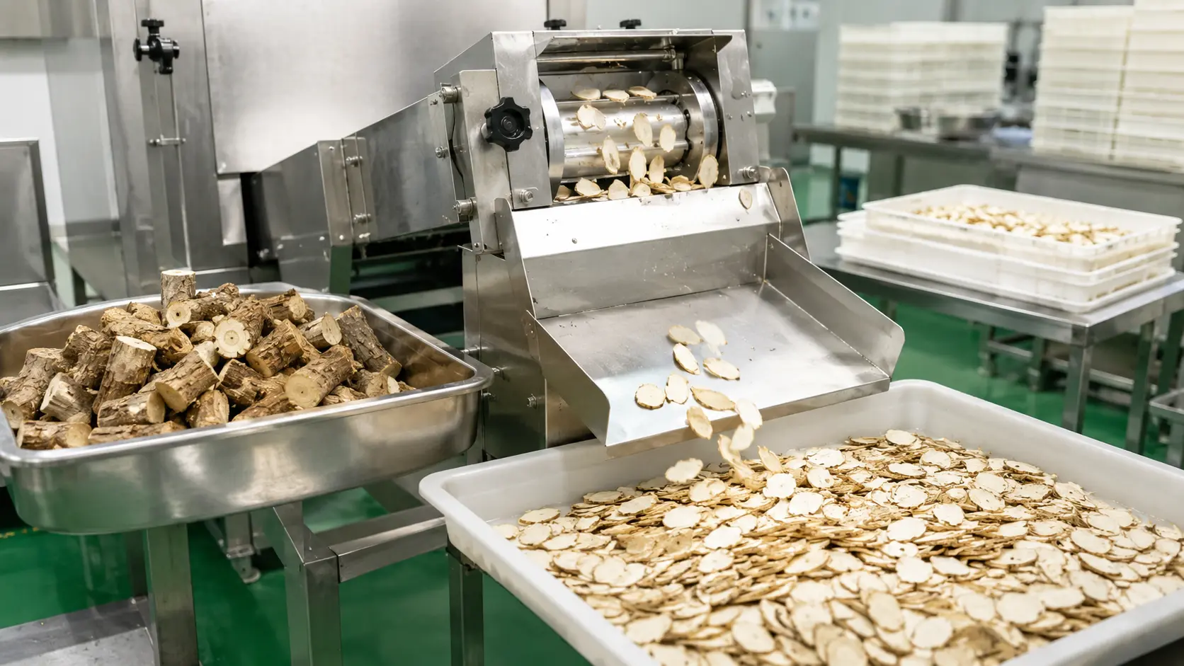 Stainless steel cutting machine processing Chinese herbal root slices in a factory setting