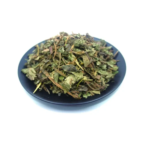 Overview of houttuynia herb