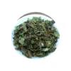 Clear view of houttuynia herb