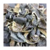 Close-up detail of dried medicinal leeches