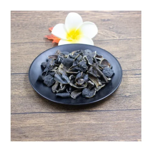 Dried medicinal leeches displayed for a clear product view