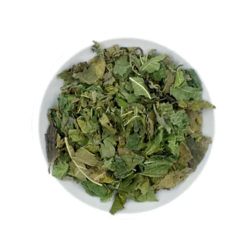 Overview of mulberry leaf
