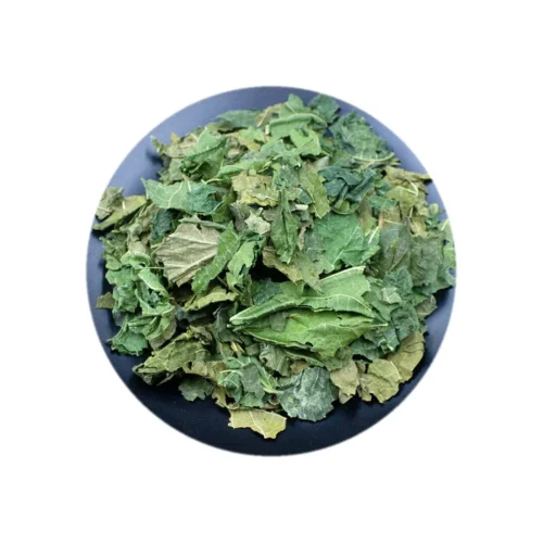 Clear view of mulberry leaf