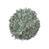 Overview of northern patrinia herb