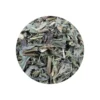 Clear view of northern patrinia herb