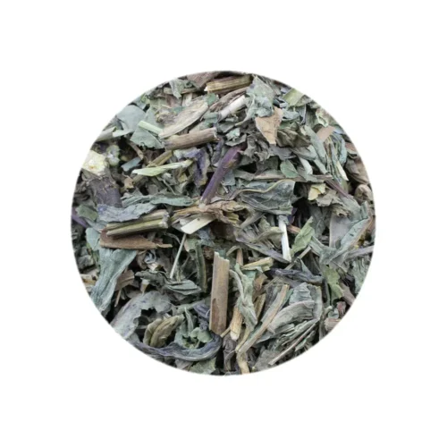 Clear view of northern patrinia herb