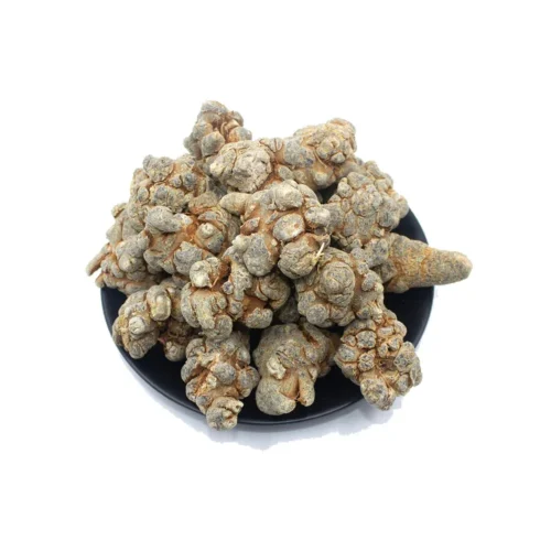 Overview of notoginseng root