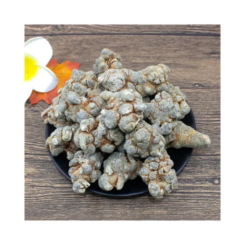 Clear view of notoginseng root