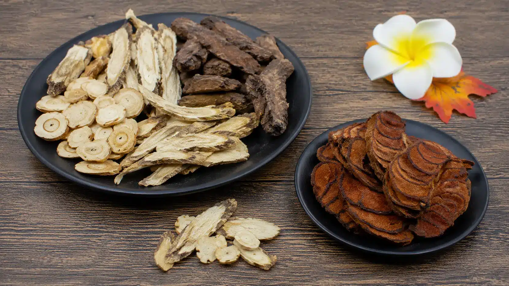 root-rhizome-herbs-sliced.