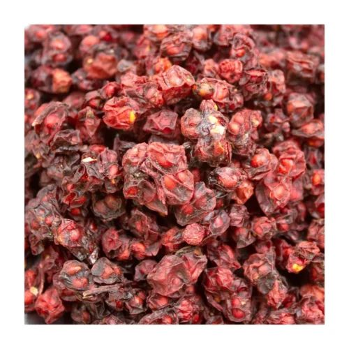 Close-up detail of schisandra berry