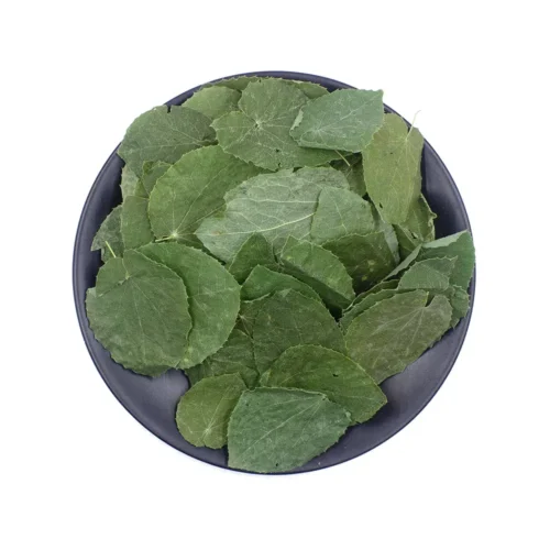 Main product image of small leaf epimedium herb