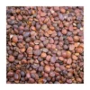 Close-up detail of sour jujube seed
