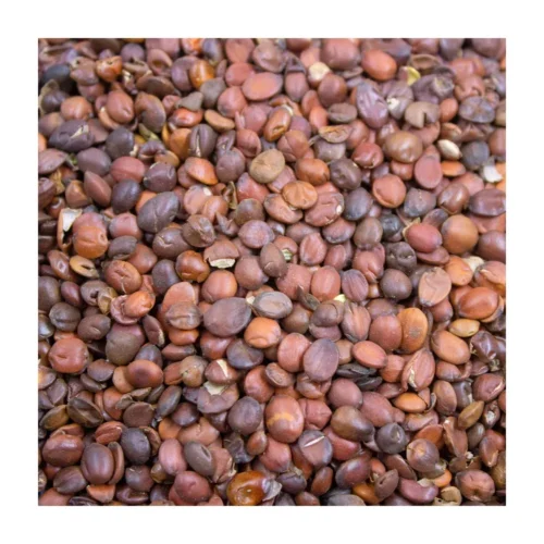 Close-up detail of sour jujube seed