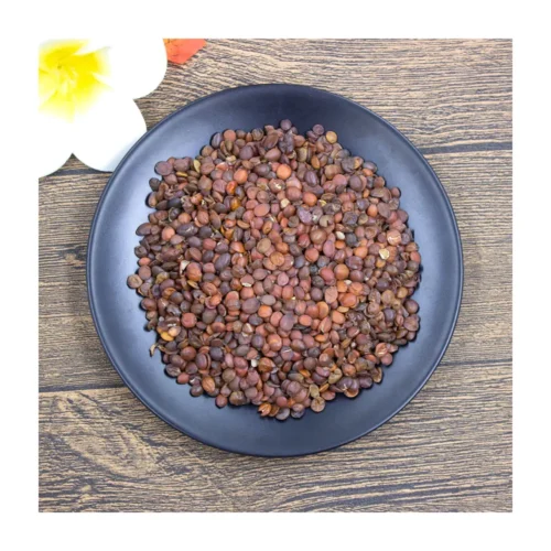Sour jujube seed showing its natural form