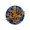 Main product image of star anise