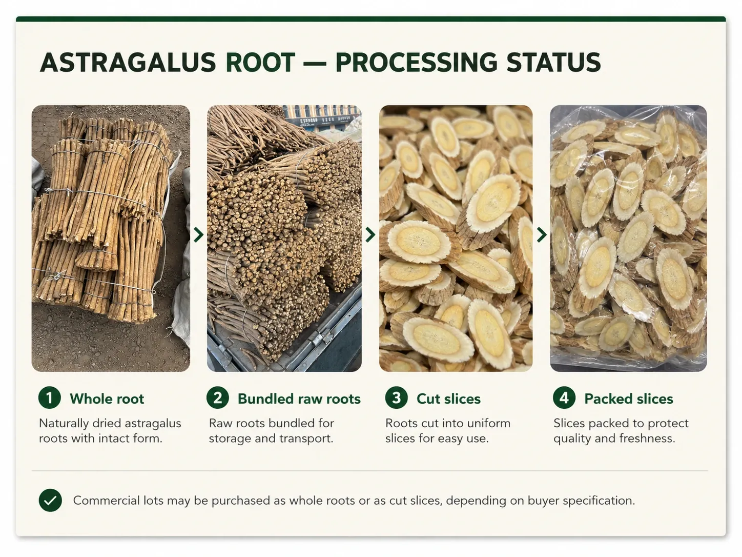 Whole Astragalus root and Astragalus root slices in different commercial forms for procurement comparison