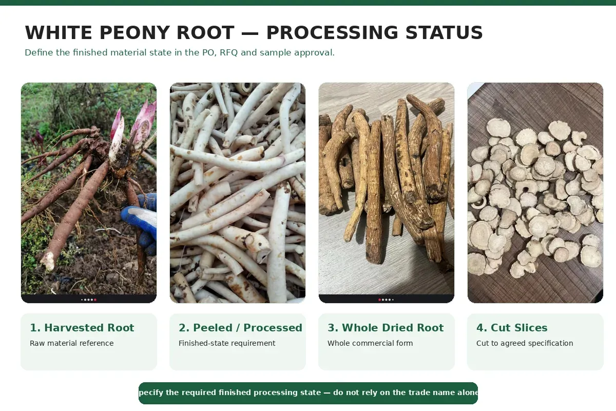 White Peony Root Bai Shao processing from whole root to finisWhite Peony Root Bai Shao processing from whole root to finished sliceshed slices