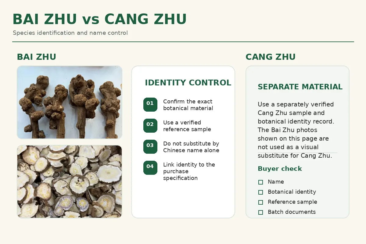 Comparison of Bai Zhu and Cang Zhu showing different species and commercial identification points