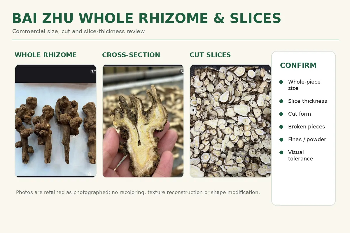 Whole Bai Zhu rhizome and Bai Zhu slices with size and thickness specification examples