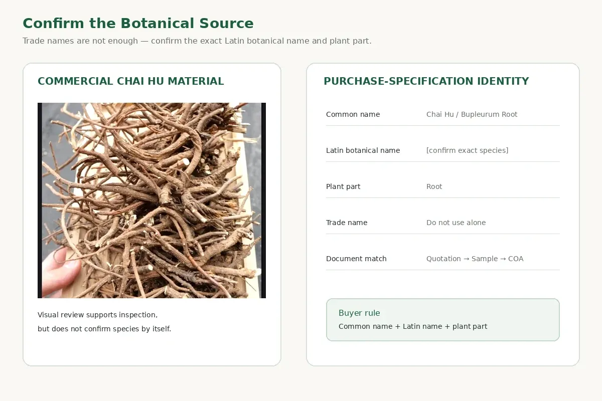 Bupleurum Chai Hu botanical source identification for bulk purchasing