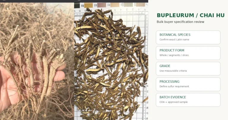 Whole Bupleurum Chai Hu roots and cut slices prepared for bulk buyer specification review