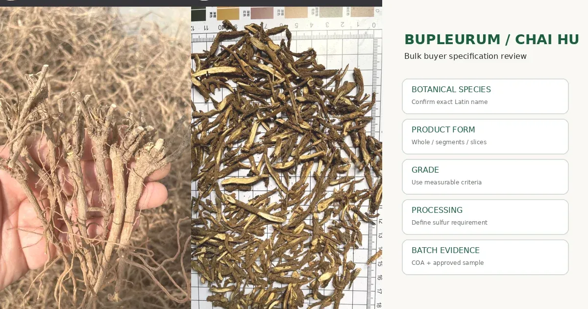 Whole Bupleurum Chai Hu roots and cut slices prepared for bulk buyer specification review