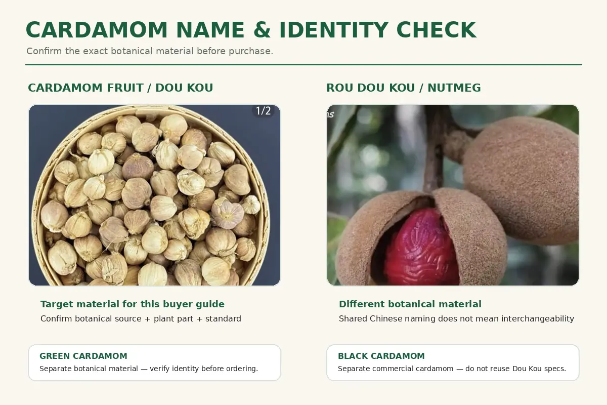 Cardamom Fruit Dou Kou compared with other commercial cardamom materials for botanical identity review