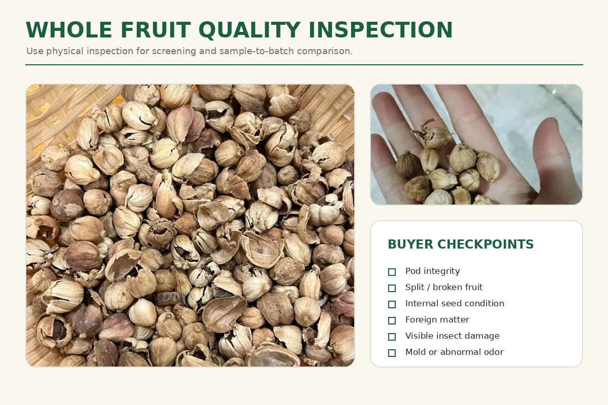 Whole Cardamom Fruit inspected for pod integrity seed condition foreign matter and visible defects